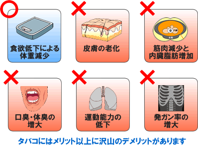 筋トレの思わぬ盲点。意外と知らない ...