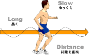 有酸素運動の基本