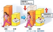 ダイエッターへのメッセージ