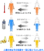 リバウンドしないために