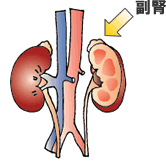 アドレナリン増加で筋力アップ！