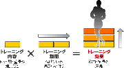 筋トレ効果を得るまでの期間