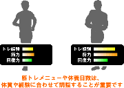 筋肉の疲労と筋トレ頻度