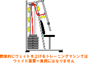 マシン･フリーウェイトの重さの違い