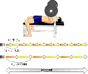 スロートレーニングのセット数