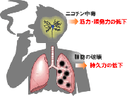 スポーツとタバコの関係