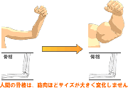 骨を太くする方法とは？