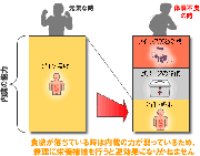 病中・病後の栄養補給は？