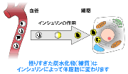 低炭水化物ダイエット