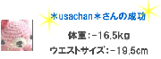 ＊usachan＊さんの成功