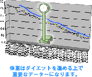 ダイエット成功のための基本