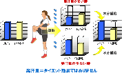 発汗量とダイエット効果