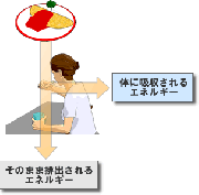 カロリー計算とダイエット