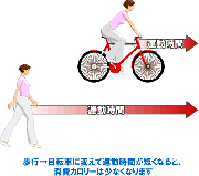 自転車はダイエットに不向き？