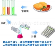 カロリーとは何か？