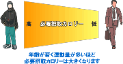 摂取すべきカロリーの目安は？