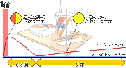 肥満化体質になる危険な方法