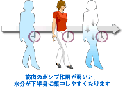 脚が太くなるダイエットとは？