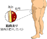 ダイエットで脚を細くするために