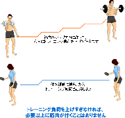 筋肉を付け過ぎない運動方法