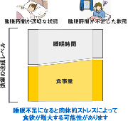 ダイエットと睡眠時間の関係