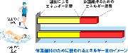 水泳のダイエット効果