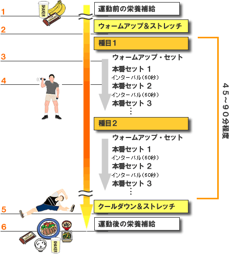 筋力トレーニングのフロー