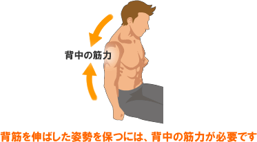 背筋を伸ばした姿勢を保つには、背中の筋力が必要です