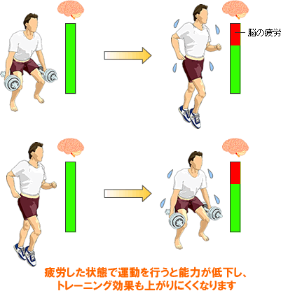 筋 運動 有 トレ 酸素