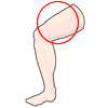 レッグ（leg）