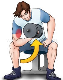 コンセントレーション・カール ステップ2 イラスト