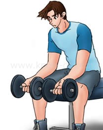 リスト・カール ステップ1 イラスト