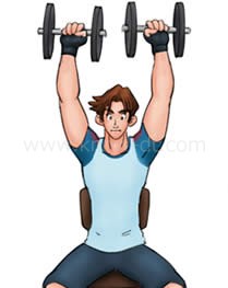シーテッド・ショルダープレス ステップ2 イラスト