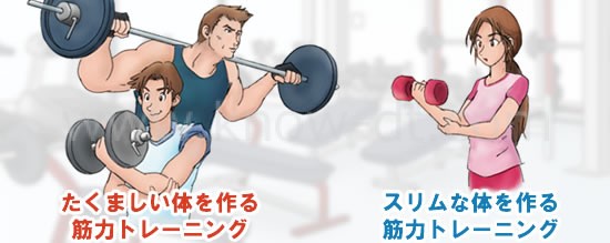 部分別筋トレメニュー